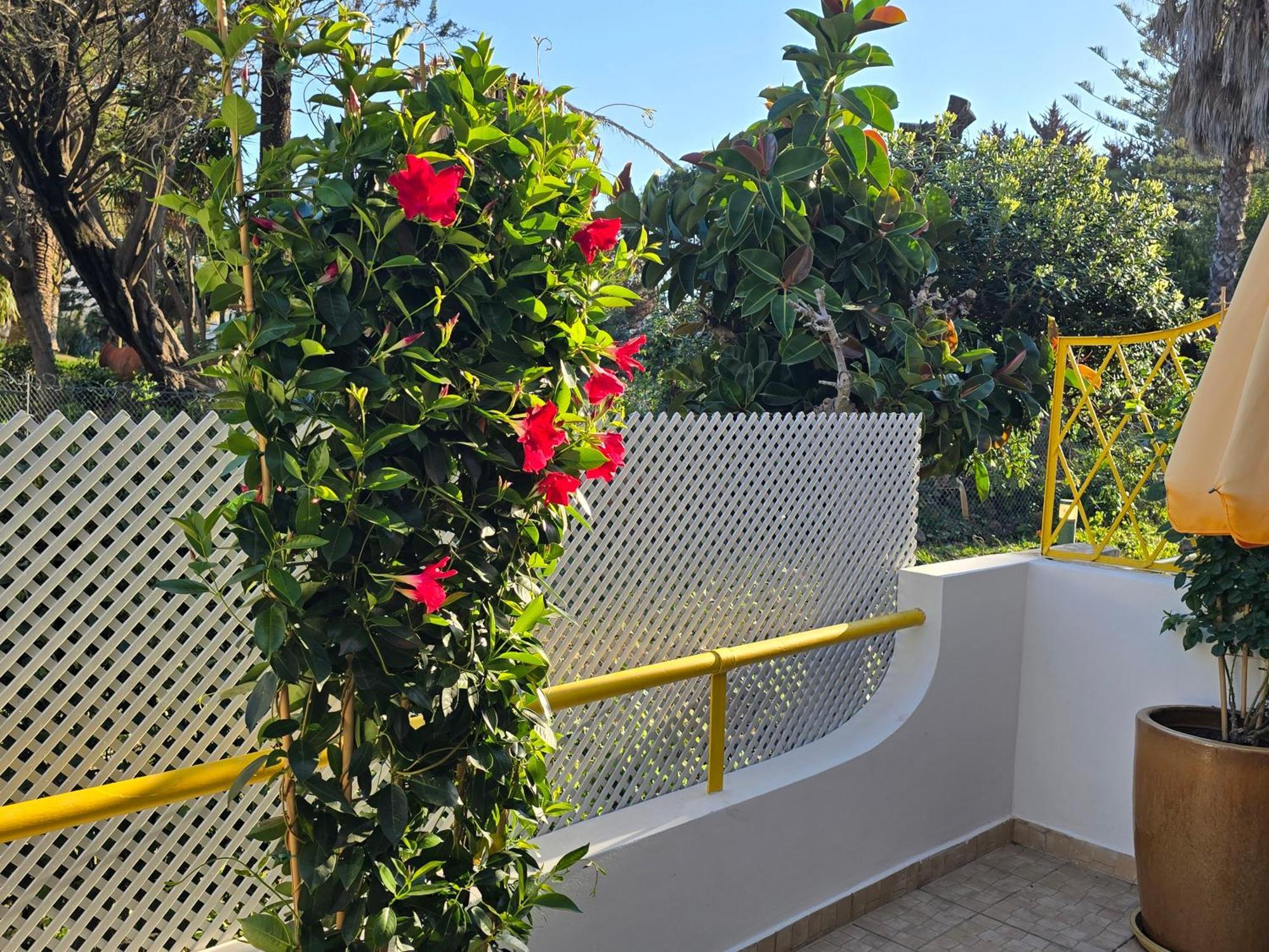 Apartamento Victoria Vilamoura Bagian luar foto